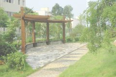 湖南电子科技职业学院2019招生简章及计划