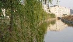德州学院教育科学学院2020年山东幼师排名解读