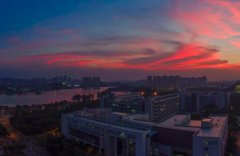 广州羊城科技专修学院2020招生录取分数线
