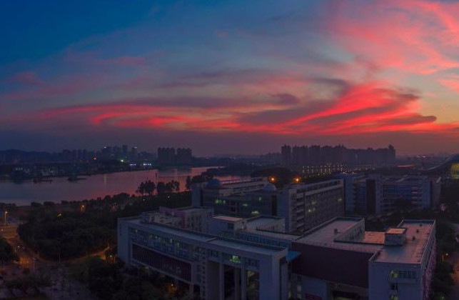 广州羊城科技专修学院