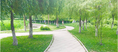 辽宁中医药大学杏林学院2019有哪些专业及什么专业好
