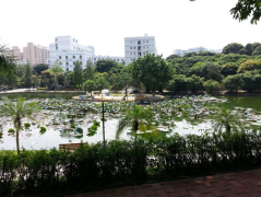 海南省第二卫生学校地址在哪里？