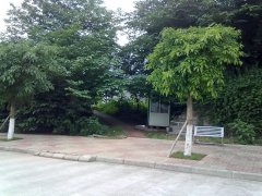 上海交通大学医学院2019招生录取分数线