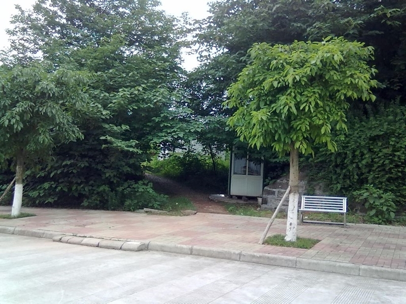 p00054315_800