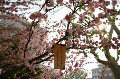 天津医科大学基础医学院宿舍条件及图片