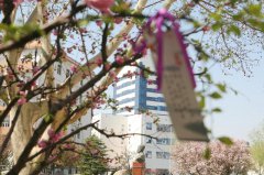 天津医科大学基础医学院2019招生录取分数线