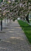 河北化工医药职业技术学院2019招生简章及计划