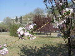 天津中医药大学宿舍条件及图片
