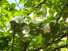 天津中医药大学2019有哪些专业及什么专业好