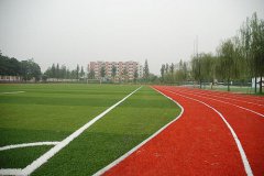 安徽合肥幼师学校学校操场图片展示
