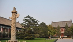 北京大学医学部2019有哪些专业及什么专业好