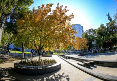 首都医科大学2019报名时间及报名方式