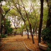 天津市武清卫校2019有哪些专业及什么专业好