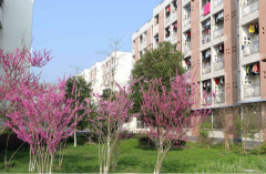 皖西卫生职业学院2019报名时间及报名方式