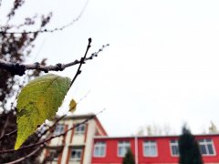 天津市武清卫校2020报名时间及报名方式