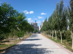 朝阳市卫生学校2019有哪些专业及什么专业好