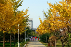 沈阳医学院附属卫生学校招生老师QQ及电话