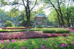 湖南中医药大学2019招生录取分数线