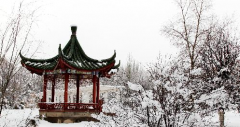 天津滨海汽车工程学校地址在哪里？
