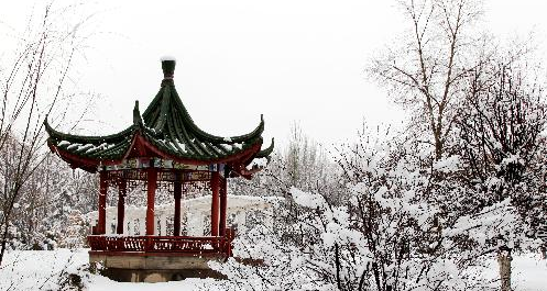 校园环境 (39)