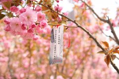 天津医科大学基础医学院2019有哪些专业及什么专业好