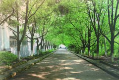 邵阳学院宿舍条件及图片
