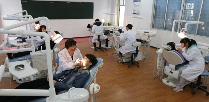 教学活动 (15)