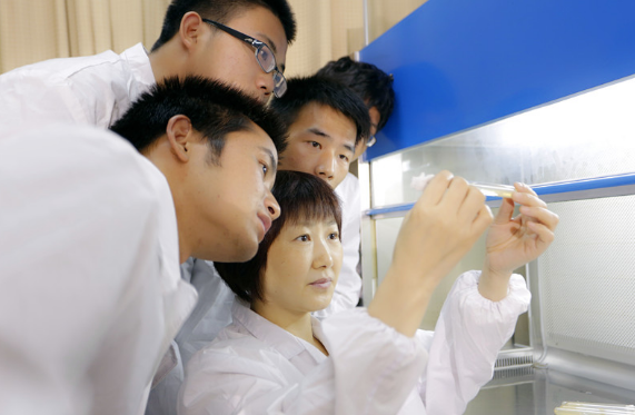 教学活动 (1)