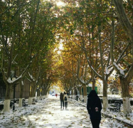 华北理工大学临床医学院2019招生简章及计划