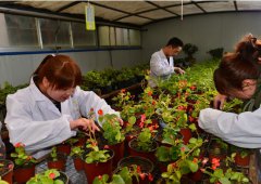 兰州职业技术学院初等教育系有哪些专业及什么专业好