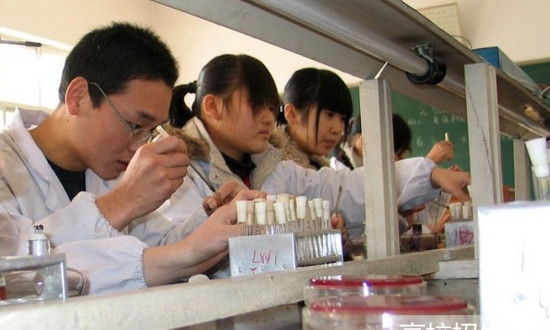 农村医学专业