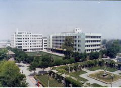 兰州城市学院幼儿师范学院有哪些专业及什么专业好