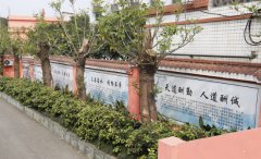 重庆市南丁卫生职业学校招生老师QQ及电话
