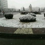 陇南师范高等专科学校学前教育学院有哪些专业及什么专业好