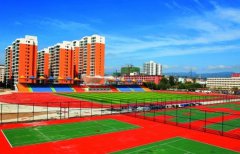 陇南师范高等专科学校学前教育学院招生录取分数线