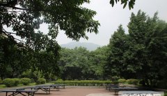 重庆知行卫生学校2019招生录取分数线
