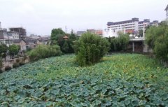昆明理工大学医学院2019招生录取分数线