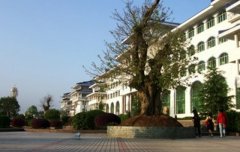 昆明理工大学医学院2019招生办电话及联系方式