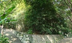 大理大学医学院护理学专业