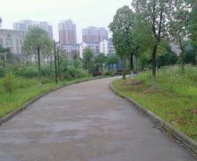 大理大学医学院2019报名时间及报名方式