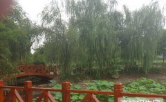 成都信息技术学校2019有哪些专业及什么专业好