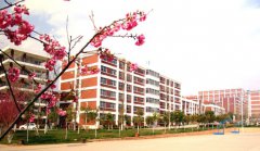 云南经济管理学院康复护理学院2019报名时间及报名方式