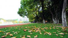 重庆万州卫生职业学校2019有哪些专业及什么专业好