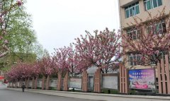 遵义医学院医学与科技学院2019报名时间及报名方式