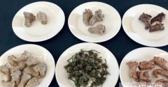 贵州中医药专业学校报名时间