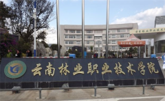 2019年云南林业职业技术学院单独招生报名时间及官方报名入口