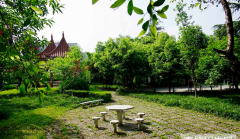 西南大学医学院地址在哪里