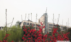 重庆理工大学医学院地址在哪里