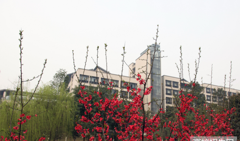 重庆理工大学医学院