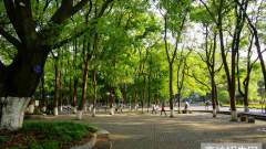西南大学医学院2019招生简章及计划